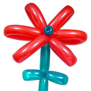 A balloon flower