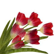 Professional flower press artwork